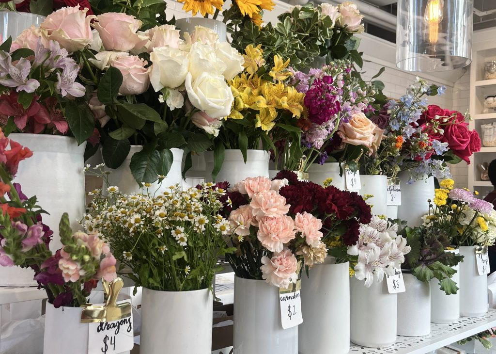 An Introduction: I am Not a Delicate Little&nbsp;Flower