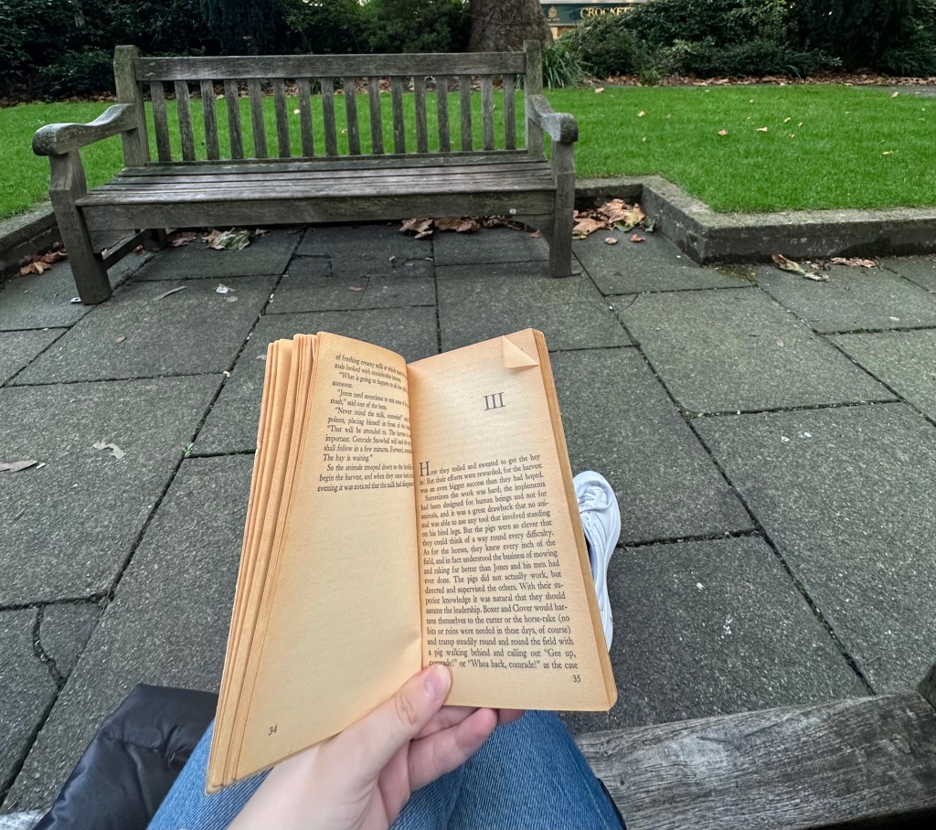 Lessons I Have Learned from Non-Fiction&nbsp;Novels