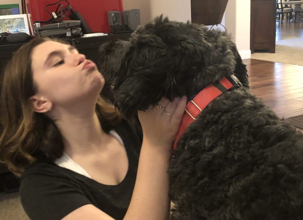 Dear Cooper: Love Letters to My Childhood&nbsp;Dog